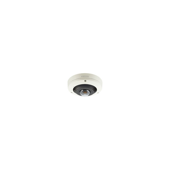 Network IR Vandal Indoor Fisheye Dome Camera