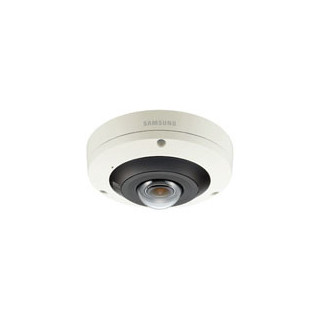 Network IR Vandal Outdoor Fisheye Dome Camera
