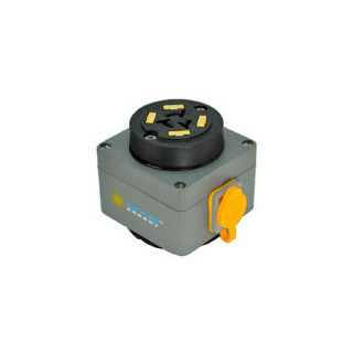Lightpole Power Tap with Twist-lock receptacle