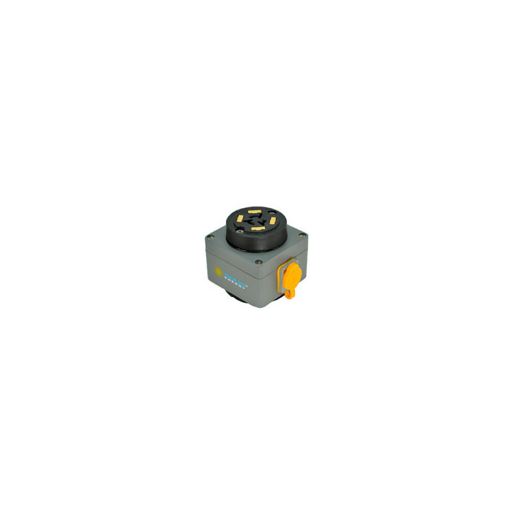 Lightpole Power Tap with Twist-lock receptacle
